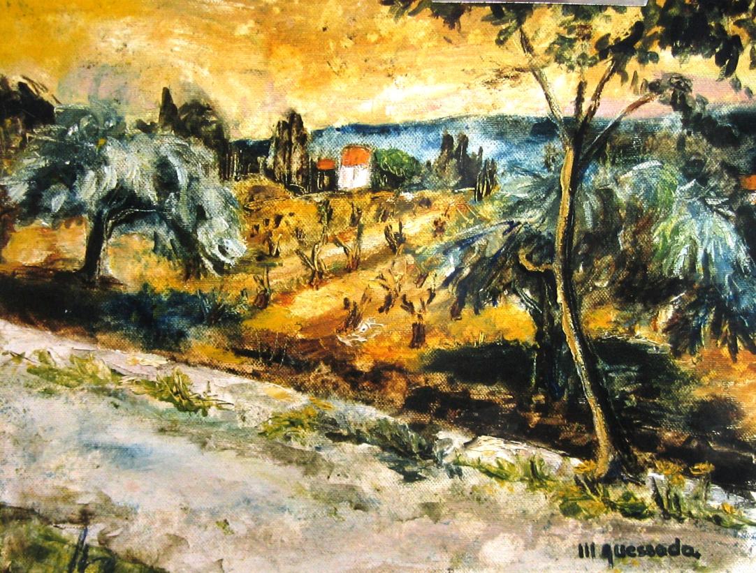 Vignes et oliviers